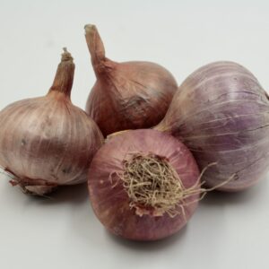 Onion Indian Veg Product spare image