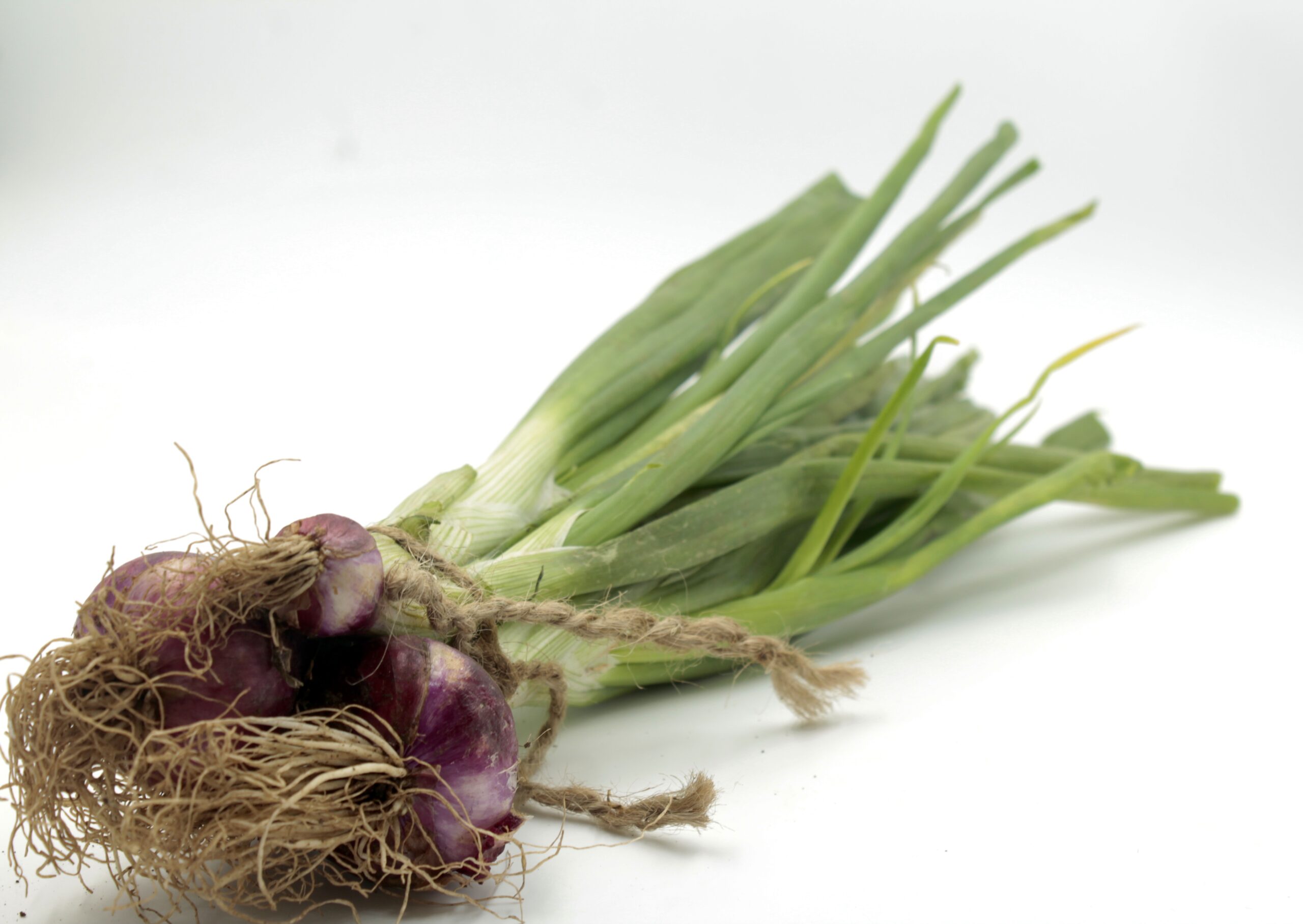 Spring onion Indian veg Category vegetable spare image