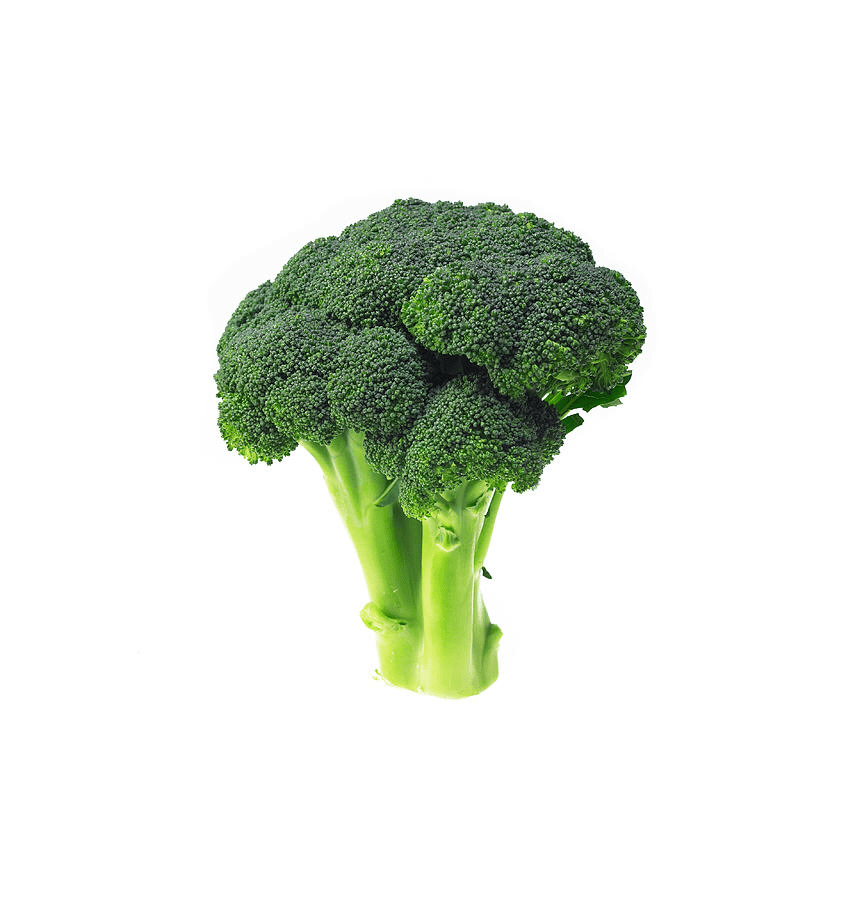 Broccoli – Smartyield.in