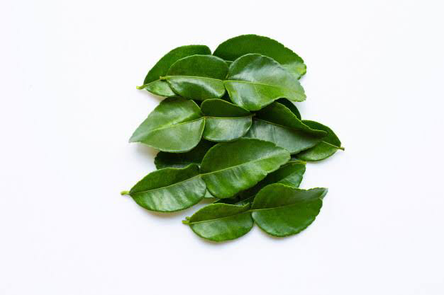 Kaffir Lime Leaves – Smartyield.in