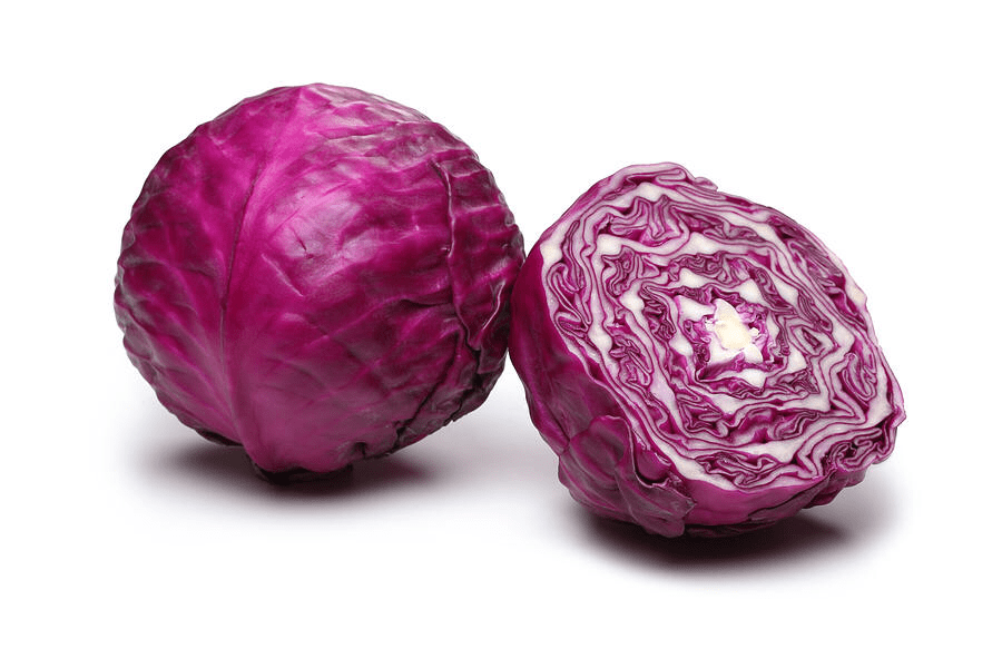Red Cabbage – Smartyield.in